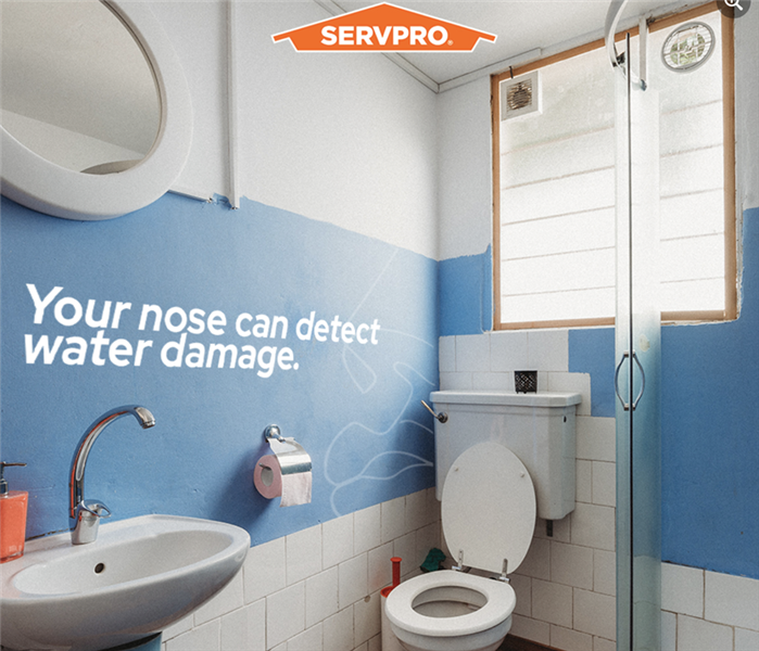 Bathroom with "your nose can detect water damage"